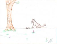 Spring and Rebirth